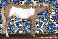 Horse Color:Chocolate Palomino Frame Rabicano 