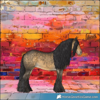 Horse Color:Buckskin Dun 