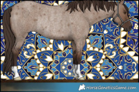 Horse Color:Liver Red Dun Roan Rabicano