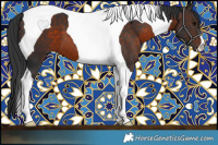 Horse Color:Brown Tobiano