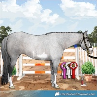 Horse Color:Brown 