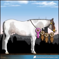 Horse Color:Brown Roan Tobiano 