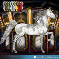 Horse Color:Gray Silver Smoky Black Sabino Splash Tobiano Snowflake Varnish 