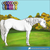 Horse Color:Gray Silver Smoky Black Sabino Splash Tobiano Snowflake Varnish 
