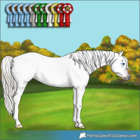 Horse Color:Gray Silver Smoky Black Sabino Splash Tobiano Snowflake Varnish 