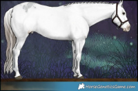 Horse Color:Smoky Blue Ice Roan Blanket 