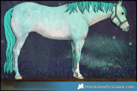 Horse Color:Watercolor Blue Ice Roan Rabicano 