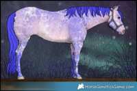 Horse Color:Watercolor Bay Ice Rabicano 