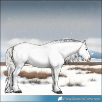 Horse Color:White Spotted Silver Black Tobiano Appaloosa Rabicano 
