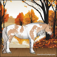 Horse Color:White Spotted Silver Bay Dun Tobiano