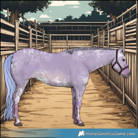 Horse Color:Watercolor Red Dun Ice 