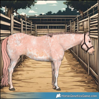 Horse Color:Watercolor Chestnut Ice