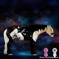 Horse Color:Watercolor Silver Black Sabino Tobiano