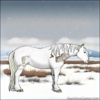 Horse Color:Watercolor Silver Brown Ice Sabino Splash Tobiano 