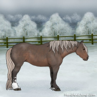 Horse Color:Silver Black Sabino 