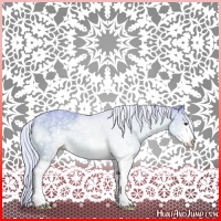 Horse Color:Watercolor White Spotted Silver Brown Sabino Appaloosa 