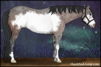 Horse Color:Bay Ice Sabino Frame 