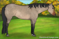 Horse Color:Brown Dun Rabicano 