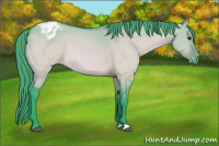 Horse Color:Watercolor Bay Dun Varnish Rabicano