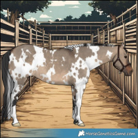 Horse Color:White Spotted Brown Dun 