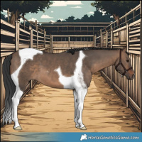 Horse Color:Brown Dun Tobiano 
