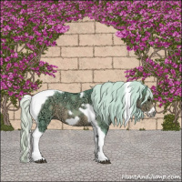 Horse Color:Watercolor White Spotted Silver Black Ice Tobiano Frame 