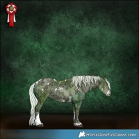 Horse Color:Watercolor White Spotted Silver Black Ice Pearl Tobiano