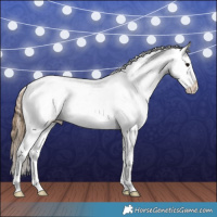 Horse Color:White Spotted Buckskin Splash Blanket Rabicano 
