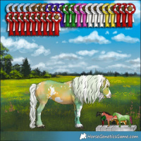 Horse Color:Watercolor White Spotted Silver Bay Frame