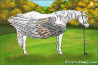 Horse Color:Smoky Creme Roan Splash Tobiano Rabicano 