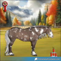 Horse Color:White Spotted Silver Brown Dun Mushroom Sabino
