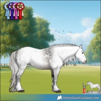 Horse Color:Gray White Spotted Silver Brown Dun Mushroom Sabino 