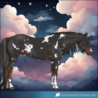 Horse Color:White Spotted Liver Chestnut 