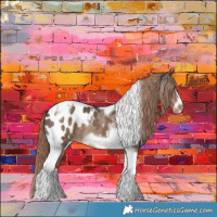 Horse Color:Liver Red Dun Tobiano Frame Blanket 