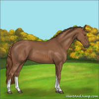Horse Color:Chestnut Tobiano 