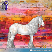 Horse Color:Perlino Dun Appaloosa