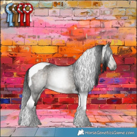 Horse Color:Gray Brown Dun Tobiano Brindle 