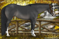Horse Color:Platinum Black Mushroom Sabino 