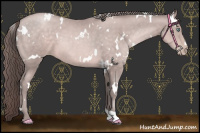 Horse Color:Platinum White Spotted Brown Pearl 