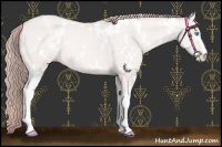 Horse Color:Platinum White Spotted Buckskin Pearl 