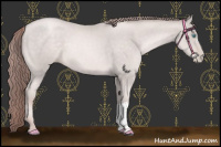 Horse Color:Platinum Buckskin Pearl Mushroom 