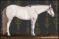 Horse Color:Platinum White Spotted Buckskin Pearl Mushroom 