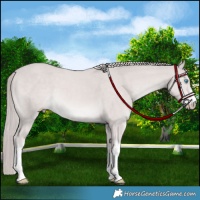 Horse Color:Platinum White Spotted Smoky Creme Mushroom
