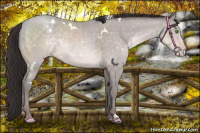 Horse Color:Platinum White Spotted Sable Cream Champagne