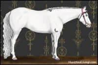 Horse Color:Platinum Gold Cream Champagne Pearl Sabino