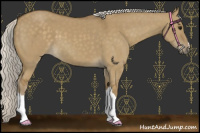 Horse Color:Silver Smoky Grullo