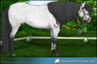 Horse Color:Platinum Bay Chinchilla Roan