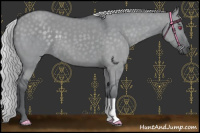 Horse Color:Platinum Silver Grullo Chinchilla