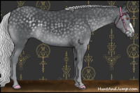 Horse Color:Platinum Silver Black Chinchilla