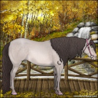 Horse Color:Platinum Sable Cream Champagne 